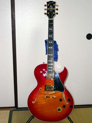 ES-137C̉摜